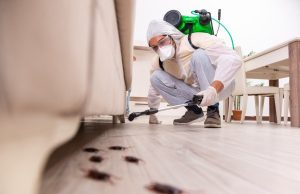 Advantages Of Hiring A Pest Control Expert