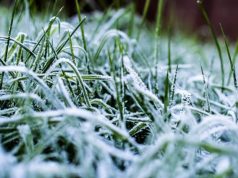 Top 3 Winter Lawn Care Tips to Ensure a Healthy Yard Ensure a Healthy Yard