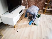 Is Hiring Pest Control Services Beneficial And Risky At The Same Time?