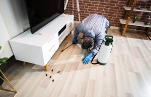 Is Hiring Pest Control Services Beneficial And Risky At The Same Time?