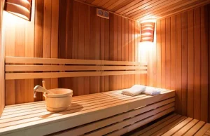 Exploring Key Considerations When Purchasing a Sauna Heater