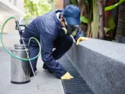 Why You Should Hire Pest Control Company