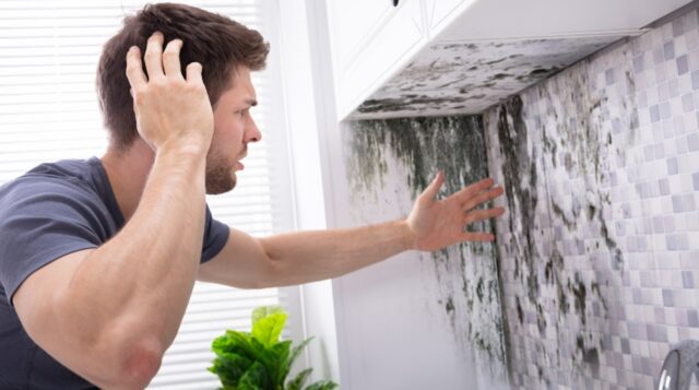 House Washing