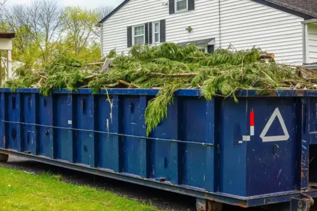 yard-waste-dumpster-service-1-1024x683.jpeg
