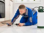 Guide to finding a reliable pest control service company in Louisiana
