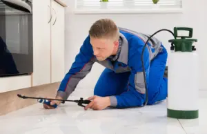 Guide to finding a reliable pest control service company in Louisiana
