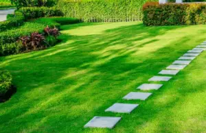 The Expert Lawn Care Company in Fairfax, VA Providing Exceptional Services