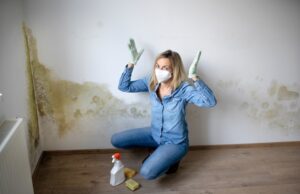 How To Prevent Mold Growth During Water Damage Restoration?