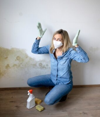 How To Prevent Mold Growth During Water Damage Restoration?