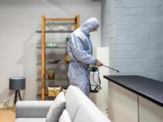 Spring Cleaning Tips from Exterminators: How to Prevent Pests Before They Start