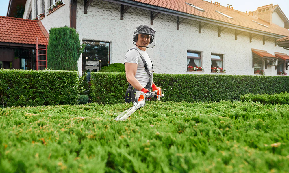 Tree Trimming