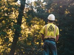 How Tree Service Experts Can Help You Manage Overgrown Trees Tree Service Experts
