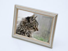 How Picture Glass Replacement Makes Your Frames Look Brand New