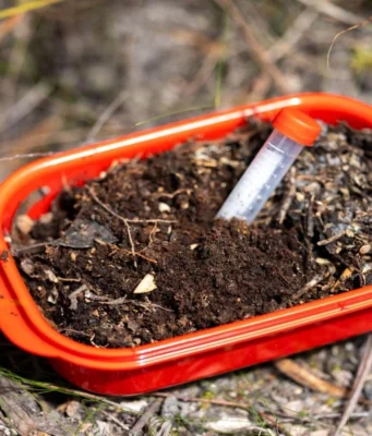 What Happens When Termite Bait Stations Are Disturbed